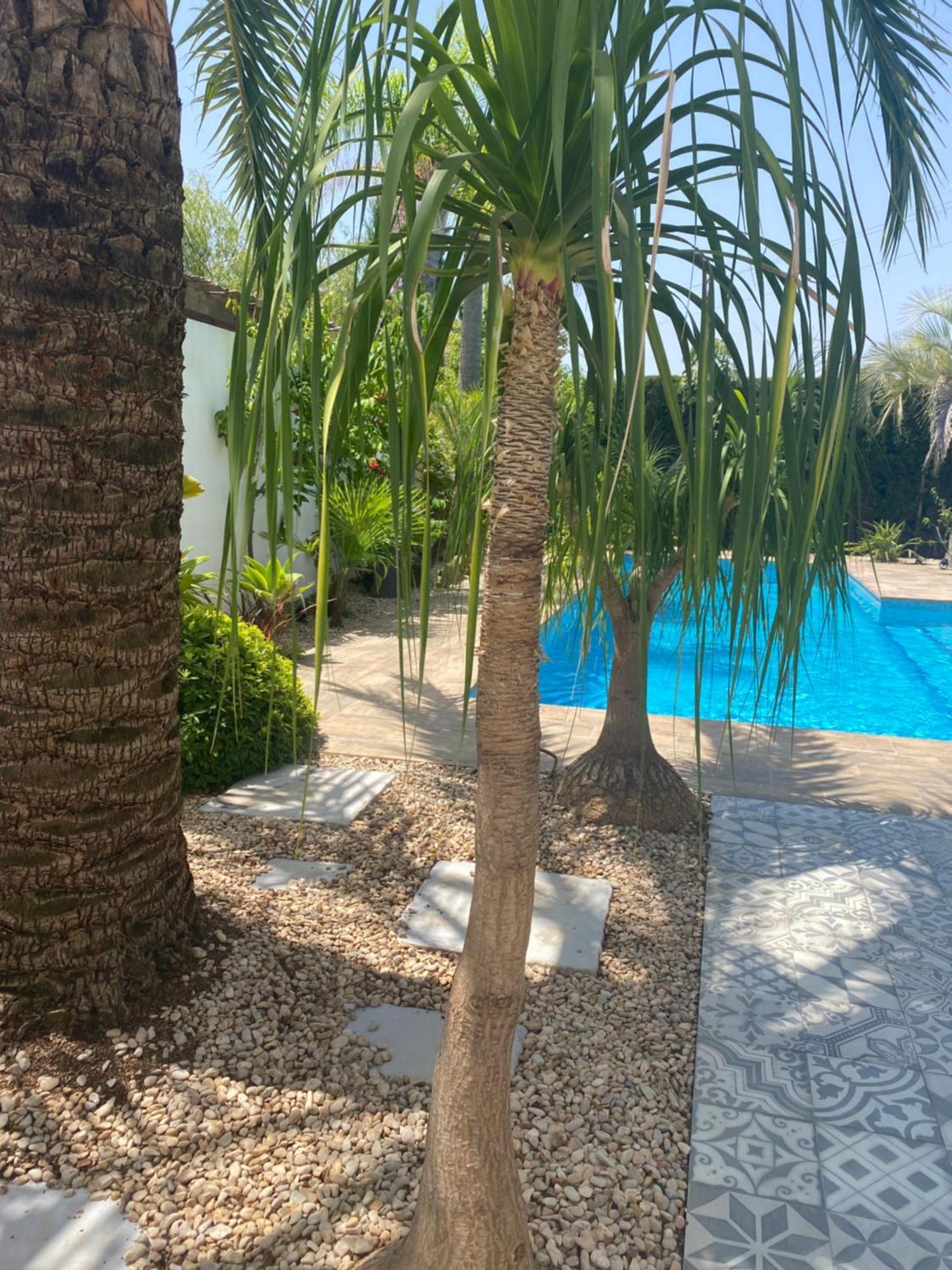 Bohospanishvilla Moraira Εξωτερικό φωτογραφία
